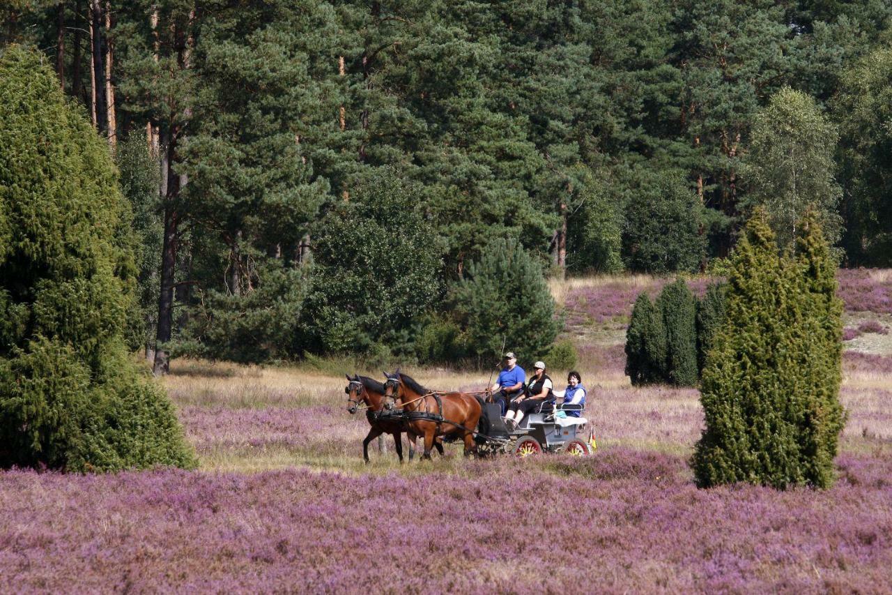 Ferienhof Cohrs Bispingen Dış mekan fotoğraf